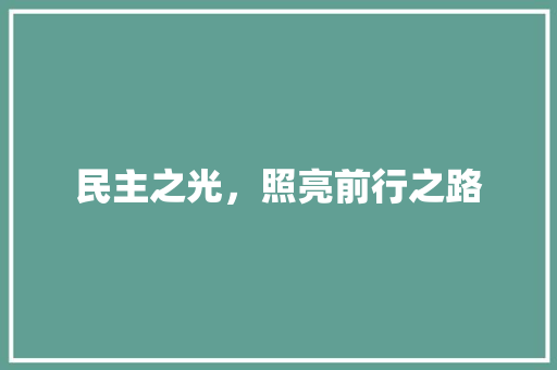 民主之光，照亮前行之路