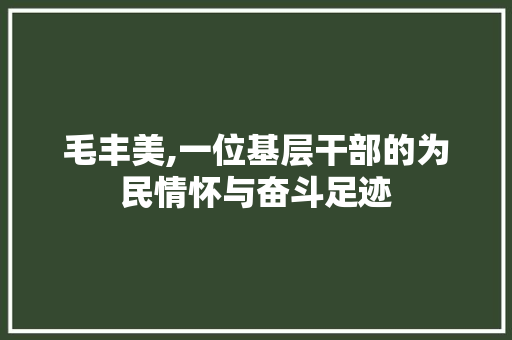 毛丰美,一位基层干部的为民情怀与奋斗足迹