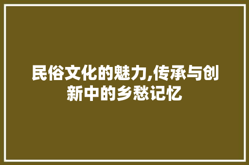 民俗文化的魅力,传承与创新中的乡愁记忆