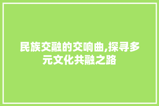 民族交融的交响曲,探寻多元文化共融之路