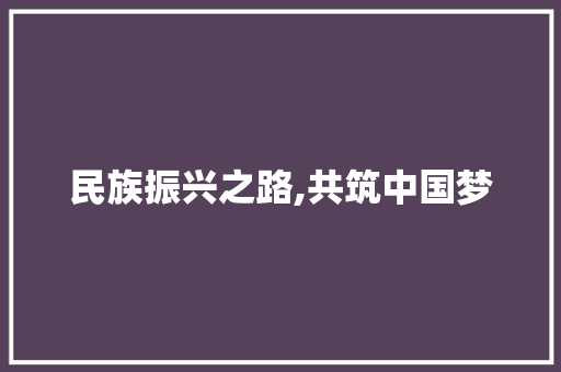 民族振兴之路,共筑中国梦