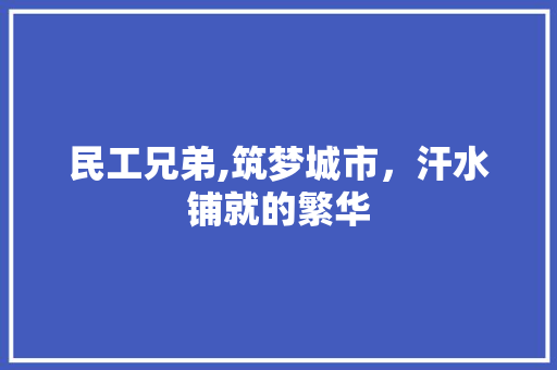 民工兄弟,筑梦城市，汗水铺就的繁华