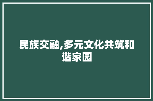 民族交融,多元文化共筑和谐家园