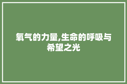 氧气的力量,生命的呼吸与希望之光