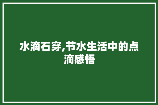 水滴石穿,节水生活中的点滴感悟