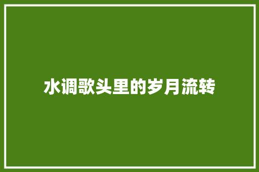 水调歌头里的岁月流转