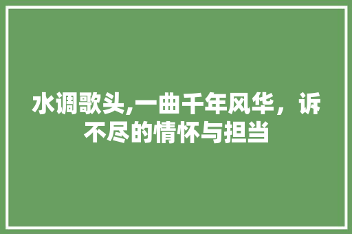 水调歌头,一曲千年风华，诉不尽的情怀与担当