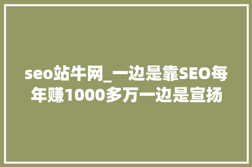 seo站牛网_一边是靠SEO每年赚1000多万一边是宣扬SEO已去世到底谁是对的