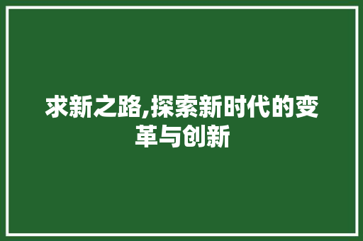 求新之路,探索新时代的变革与创新