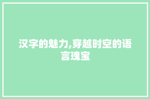 汉字的魅力,穿越时空的语言瑰宝