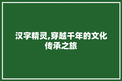 汉字精灵,穿越千年的文化传承之旅