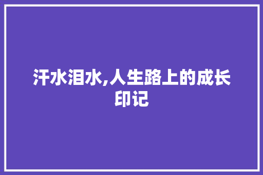 汗水泪水,人生路上的成长印记