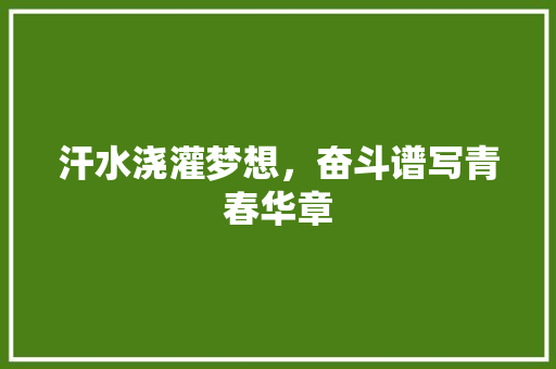 汗水浇灌梦想，奋斗谱写青春华章