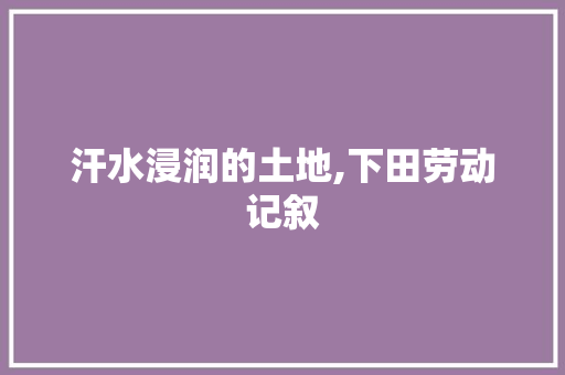 汗水浸润的土地,下田劳动记叙