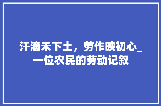 汗滴禾下土，劳作映初心_一位农民的劳动记叙