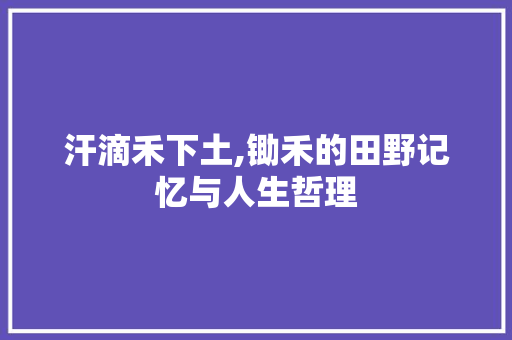 汗滴禾下土,锄禾的田野记忆与人生哲理