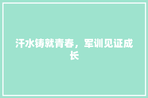 汗水铸就青春，军训见证成长