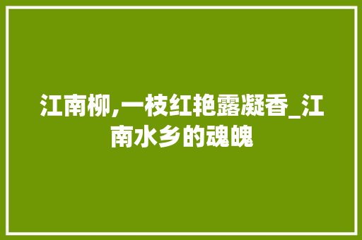 江南柳,一枝红艳露凝香_江南水乡的魂魄