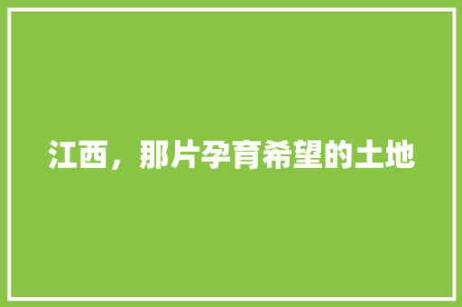 江西，那片孕育希望的土地