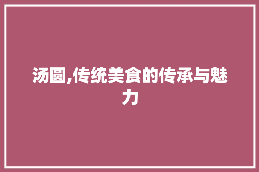 汤圆,传统美食的传承与魅力