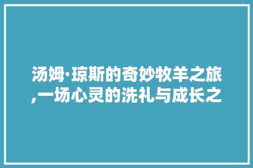 汤姆·琼斯的奇妙牧羊之旅,一场心灵的洗礼与成长之旅