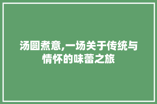 汤圆煮意,一场关于传统与情怀的味蕾之旅