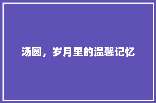 汤圆，岁月里的温馨记忆