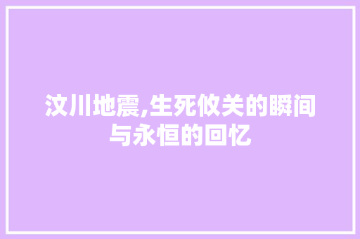 汶川地震,生死攸关的瞬间与永恒的回忆