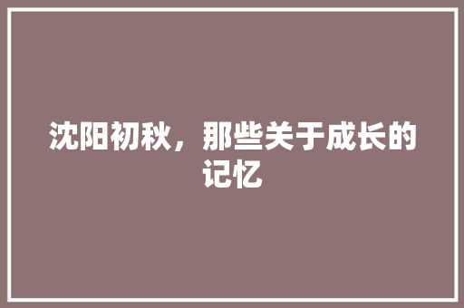 沈阳初秋，那些关于成长的记忆