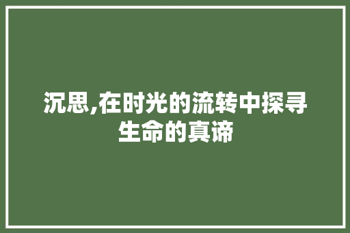 沉思,在时光的流转中探寻生命的真谛