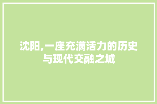 沈阳,一座充满活力的历史与现代交融之城