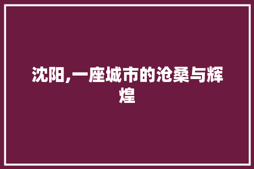 沈阳,一座城市的沧桑与辉煌