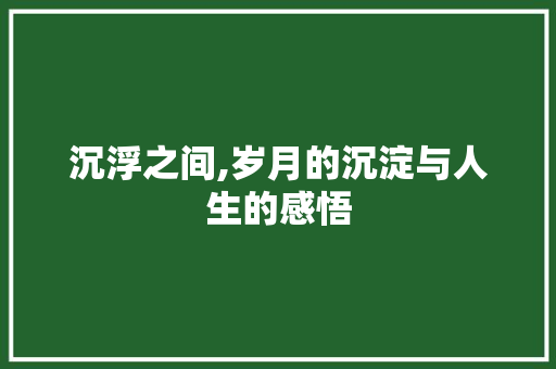 沉浮之间,岁月的沉淀与人生的感悟