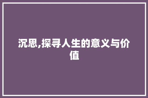 沉思,探寻人生的意义与价值