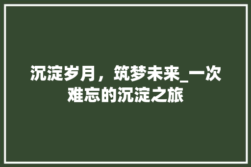 沉淀岁月，筑梦未来_一次难忘的沉淀之旅