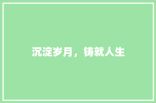 沉淀岁月，铸就人生