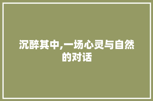 沉醉其中,一场心灵与自然的对话