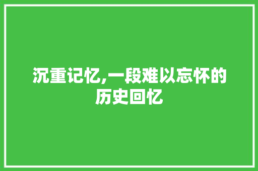 沉重记忆,一段难以忘怀的历史回忆