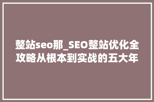 整站seo那_SEO整站优化全攻略从根本到实战的五大年夜步骤 职场范文