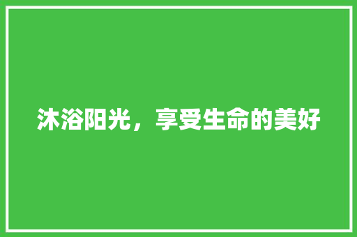 沐浴阳光，享受生命的美好