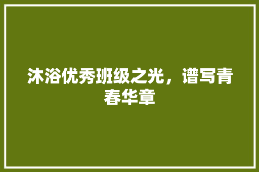 沐浴优秀班级之光，谱写青春华章