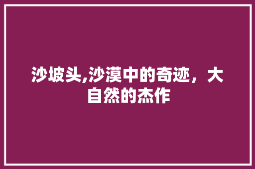 沙坡头,沙漠中的奇迹，大自然的杰作