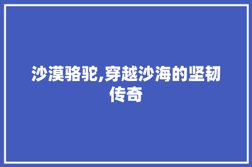 沙漠骆驼,穿越沙海的坚韧传奇