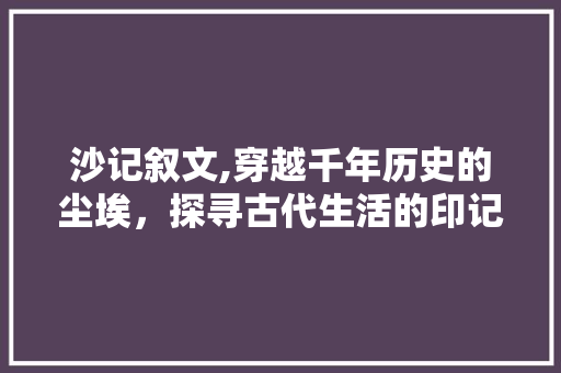 沙记叙文,穿越千年历史的尘埃，探寻古代生活的印记