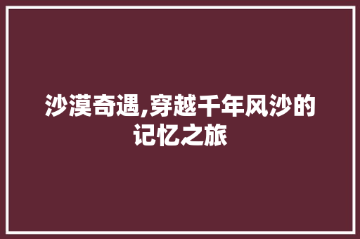 沙漠奇遇,穿越千年风沙的记忆之旅