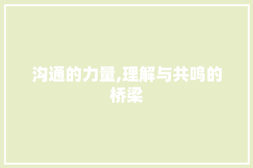 沟通的力量,理解与共鸣的桥梁