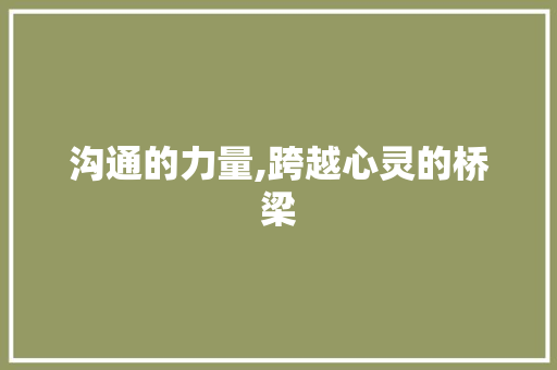 沟通的力量,跨越心灵的桥梁