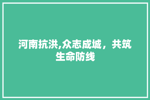 河南抗洪,众志成城，共筑生命防线