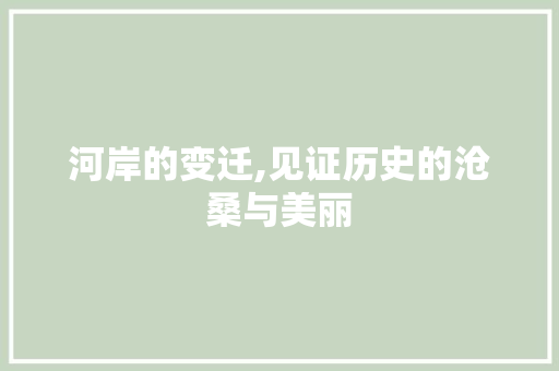 河岸的变迁,见证历史的沧桑与美丽