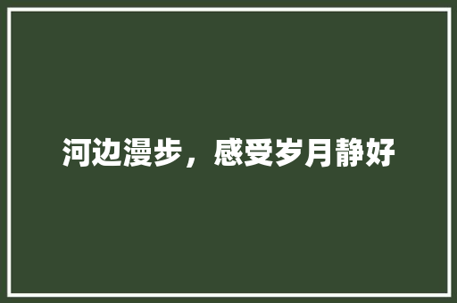 河边漫步，感受岁月静好